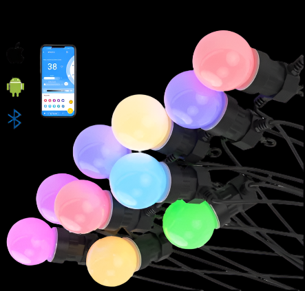 Pixel Festoon Lighting Kit RGBIC Addressable 12V