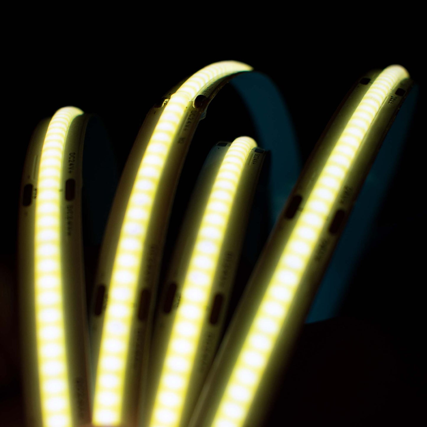 COB LED Strip