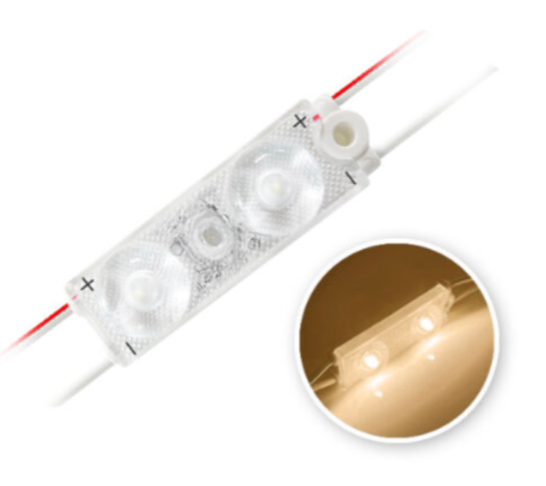 MODULE 2 LED 0.48W 24vDC IP67 (50 modules / unit)