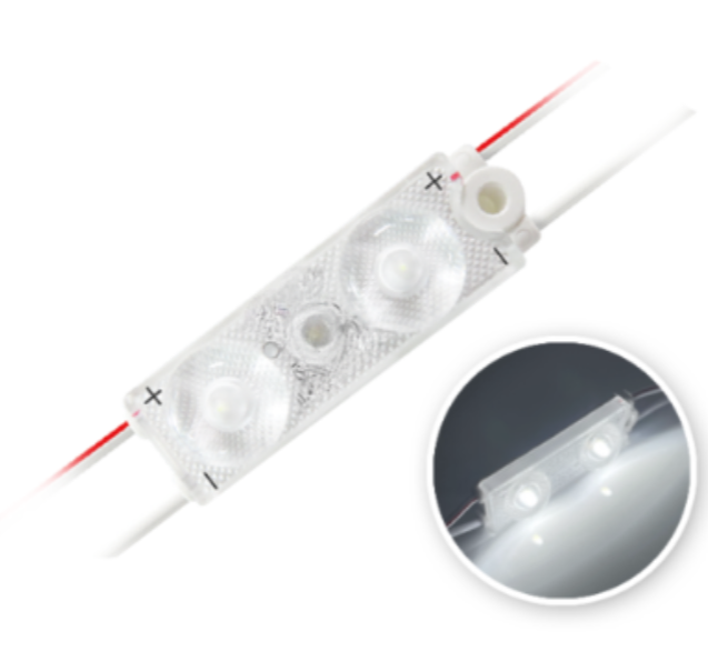 MODULE 2 LED 0.48W 24vDC IP67 (50 modules / unit)